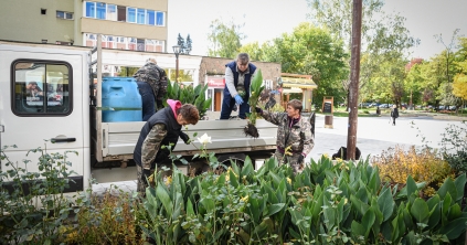 Egyetlen romániai városként kerül fel Csíkszereda az európai kertészeti térképre